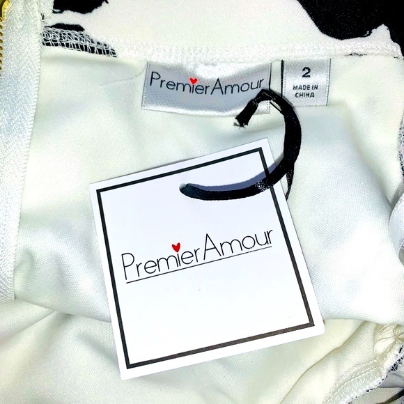 Premier Amour Off Shoulder Dress - Picture 9 of 10